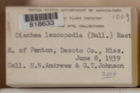 Image Associated With the Occurence
